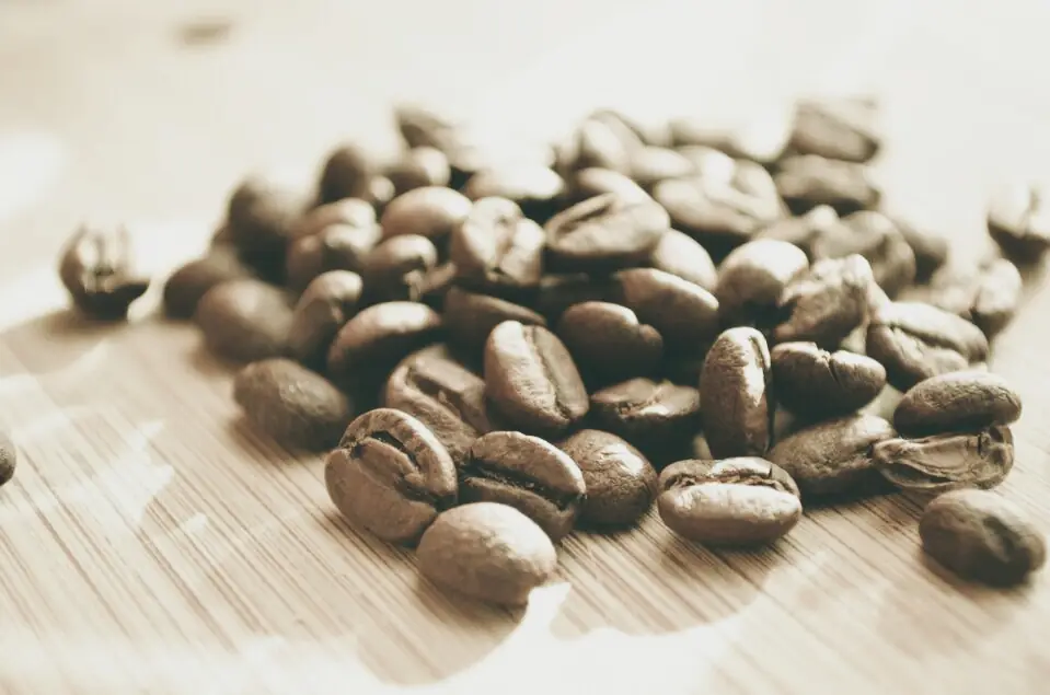 Świeżo palone ziarna kawy Velvet Coffee
